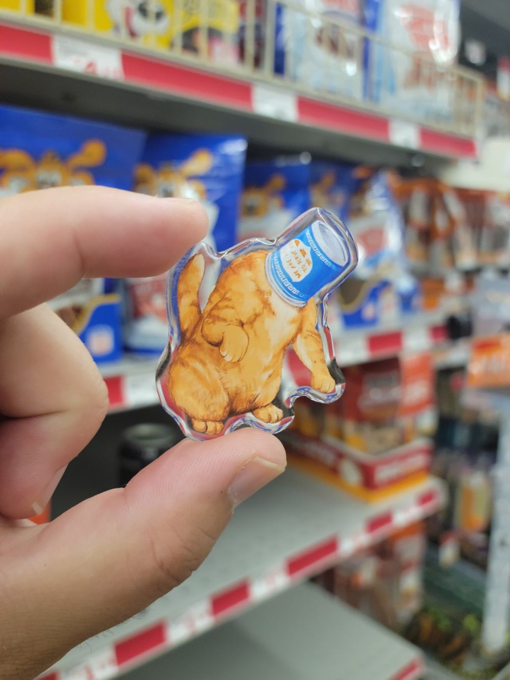 Bodega Coffee Cat Acrylic Pin