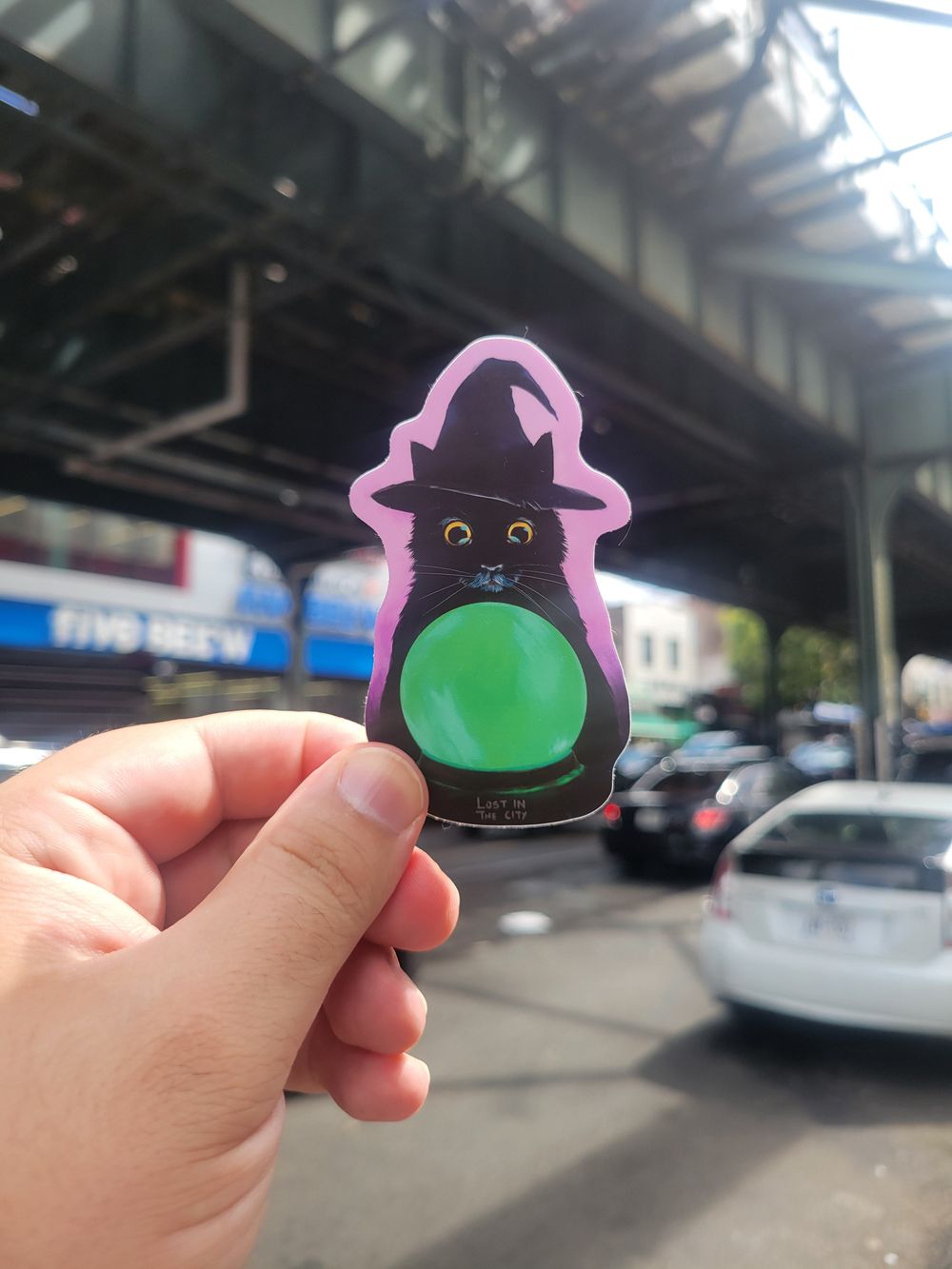 Catstrologer Sticker
