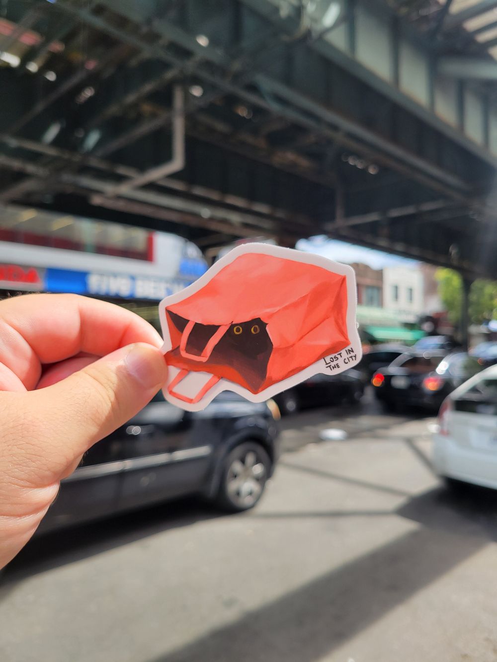 Shy Cat Sticker